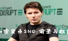 揭秘加密货币SND：前景与投资机会