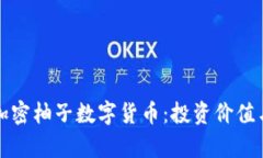 全面解析加密柚子数字货币：投资价值与市场前