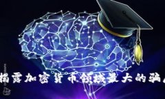 深入探讨：揭露加密货币领域最大的骗局及其影