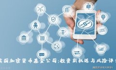 英国加密货币基金公司：投资新机遇与风险评估