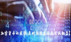 加密货币的疯狂：是时候