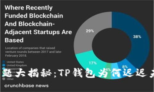 抹茶问题大揭秘：TP钱包为何迟迟未到账？