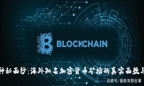 揭开神秘面纱：海外知名加密货币矿场的真实面貌与机遇