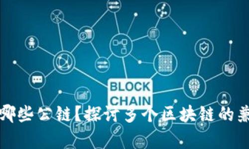 TP钱包支持哪些公链？探讨多个区块链的兼容性与前景