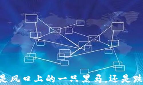 
ADA加密货币：是风口上的一只黑马，还是跌落神坛的泡沫？