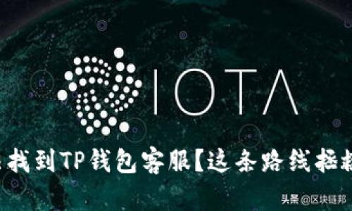 无法找到TP钱包客服？这条路线拯救你！