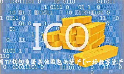 如何使用TP钱包查看其他钱包的资产？一场数字资产的挑战！