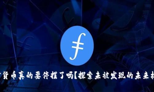 加密货币真的要停摆了吗？探索未被发现的未来机遇！