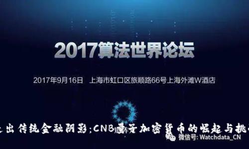 走出传统金融阴影：CNB量子加密货币的崛起与挑战