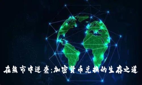 在熊市中逆袭：加密货币兑换的生存之道