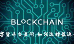 最大加密数字货币交易所