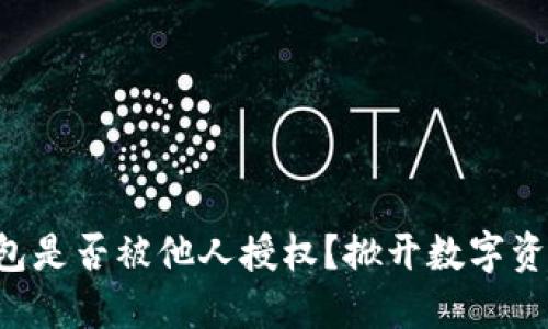 如何查看TP钱包是否被他人授权？掀开数字资产的神秘面纱！