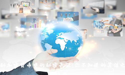 揭秘加密货币中的秘密武器：你不知道的算法之战