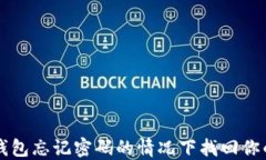 如何在T P钱包忘记密码的