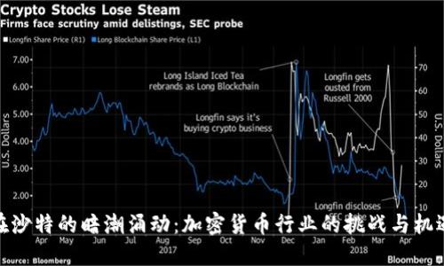 在沙特的暗潮涌动：加密货币行业的挑战与机遇