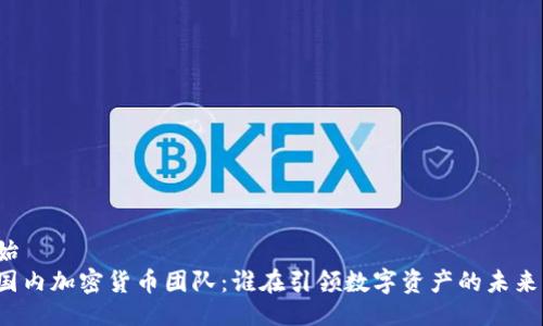 始  
国内加密货币团队：谁在引领数字资产的未来？
