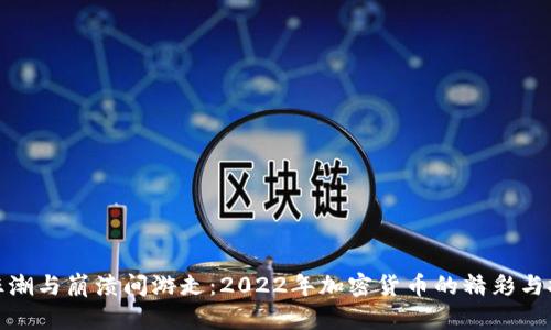 在狂潮与崩溃间游走：2022年加密货币的精彩与挑战