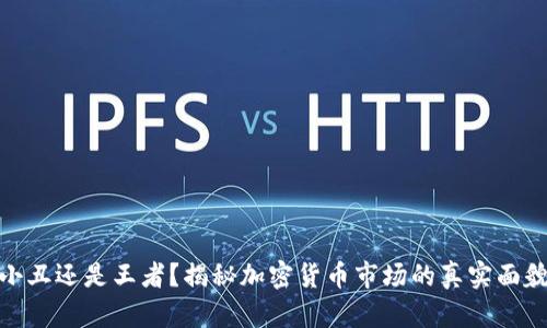 小丑还是王者？揭秘加密货币市场的真实面貌