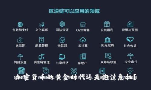 加密货币的黄金时代还是泡沫危机？