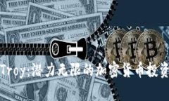 解密Troy：潜力无限的加密