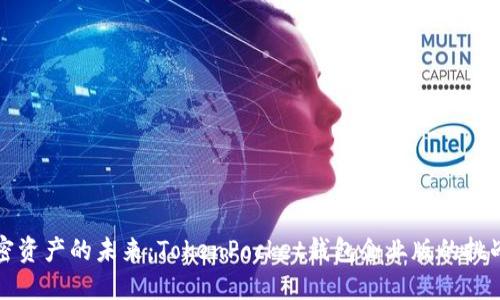 掌控加密资产的未来：TokenPocket钱包企业版的挑战与机遇