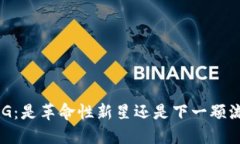  RMG：是革命性新星还是下