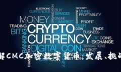 深入了解CMC加密数字货币：发展、挑战与未来