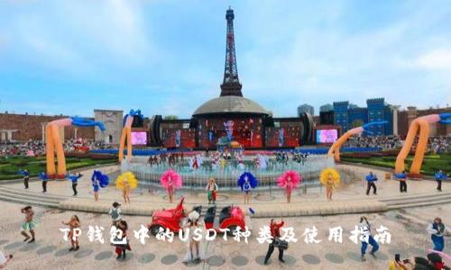 TP钱包中的USDT种类及使用指南