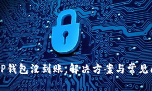 提HT到TP钱包没到账，解决方案与常见问题解析