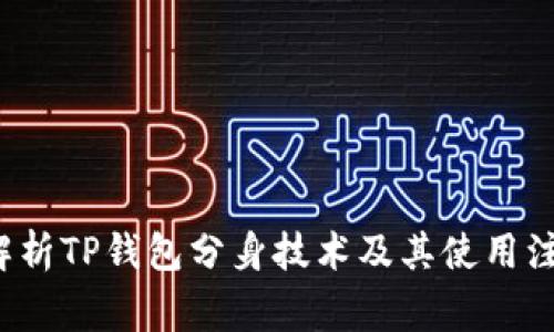  全面解析TP钱包分身技术及其使用注意事项