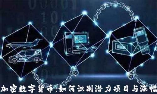 
投资加密数字货币：如何识别潜力项目与涨幅机制