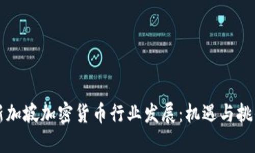 新加坡加密货币行业发展：机遇与挑战